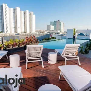 https://beautiful-modern-and-confortable-apartment-coworking-roof-toop.quintano-roohotels.com
